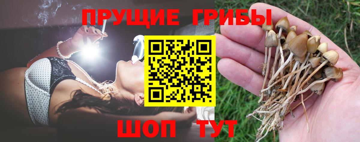 Псилоцибиновые грибы MAGIC MUSHROOMS  Псилоцибиновые грибы мицелий  Вход с VPN  Кулебаки 