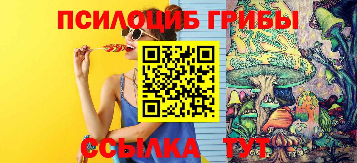 Галлюциногенные грибы Cubensis Кулебаки